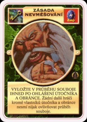 Zásada nevměšování